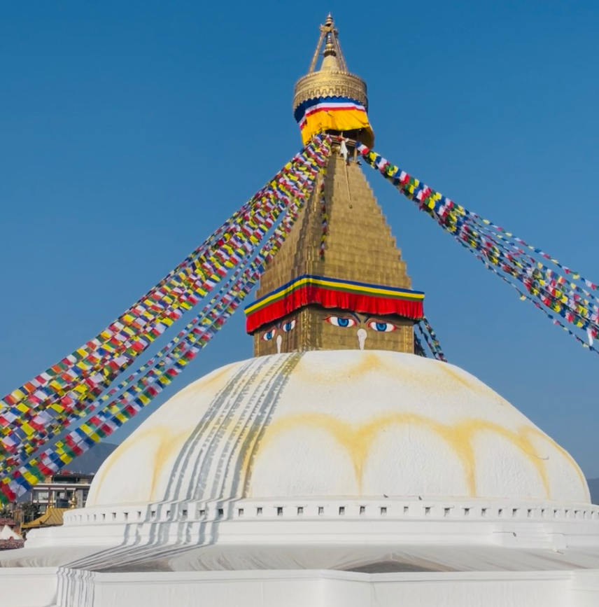 Untitled design (18)